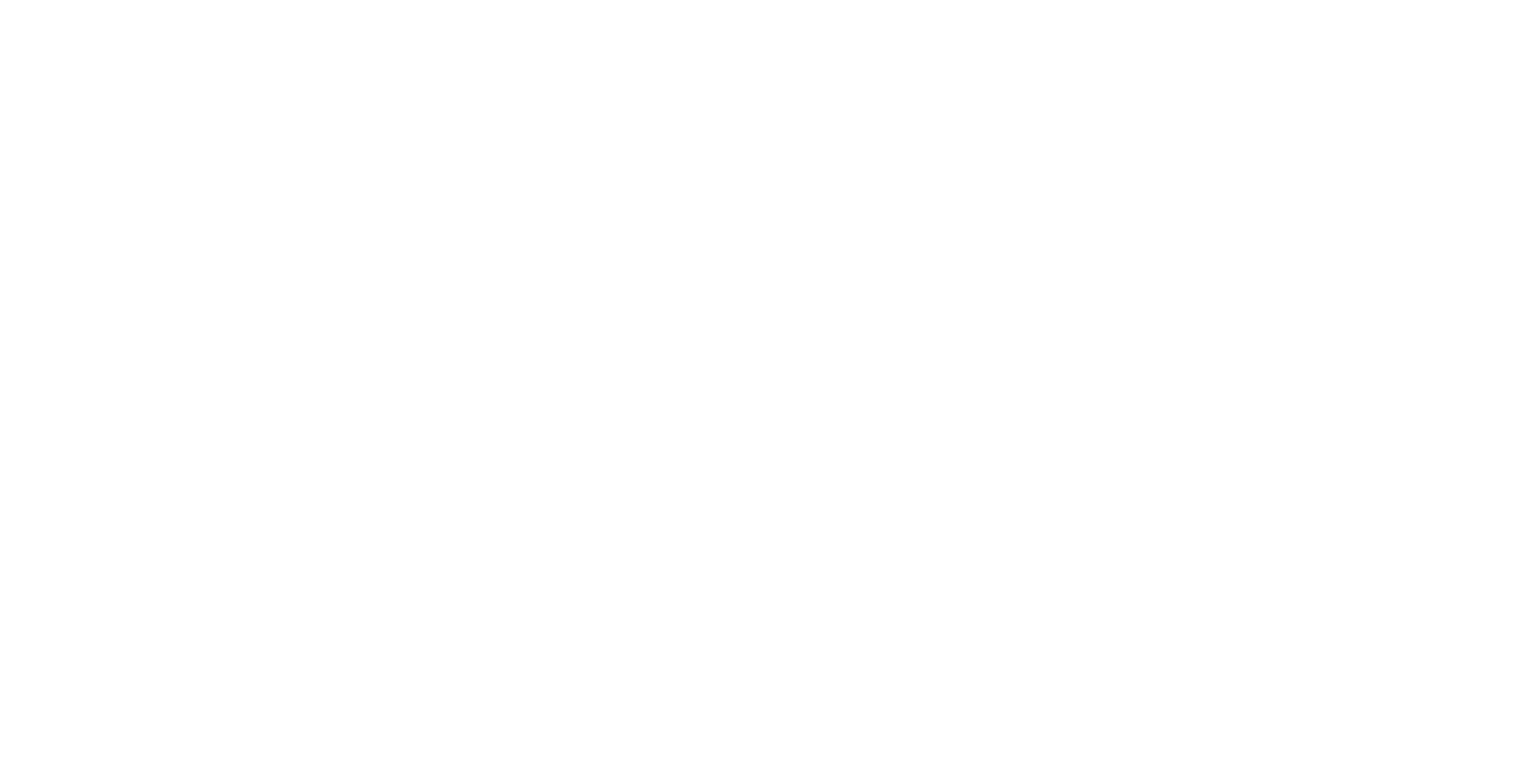 Logo du wite Woori Festival en blanc